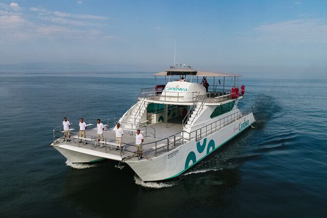 Whale Watching Adventure In Puerto Vallarta - A Close Look at the Whale Watching Experience