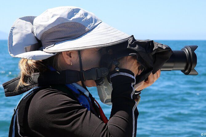 Whale Watching Adventure - leaded by marine biologist. - Who Will Love This Tour?