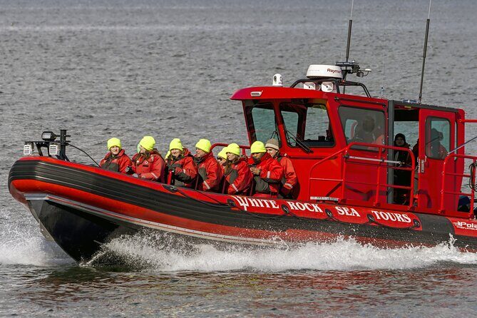 Whale Watching Adventure Vancouver - Who Will Love This Tour?