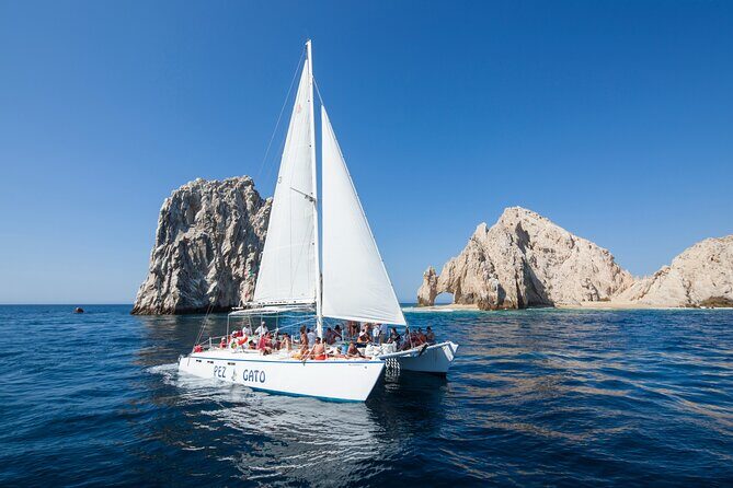 Whale Watching Amazing Adventure - Booking and Practicalities