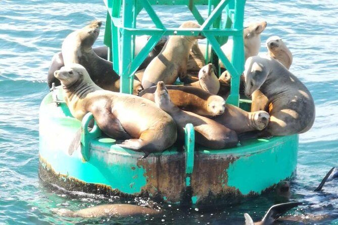 Whale Watching and Fishing Combination Excursions - Frequently Asked Questions