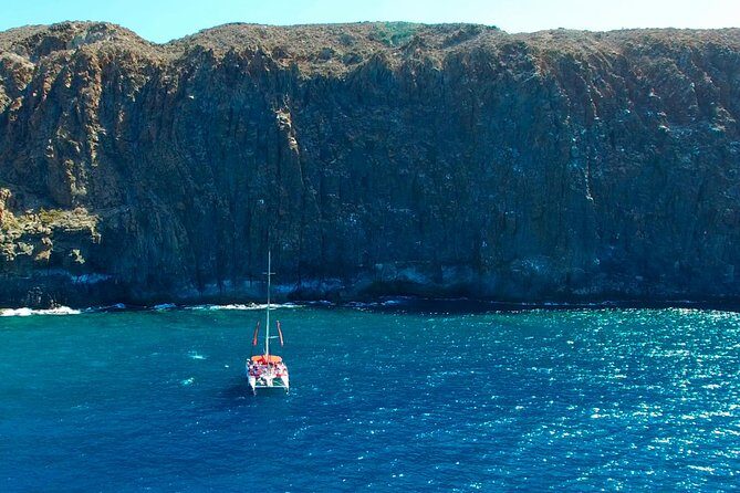 Whale Watching and Listening Eco Catamaran Tour with Food Tasting - The Itinerary: What to Expect from Start to Finish