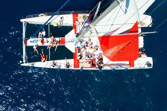 Whale Watching and Listening Eco Catamaran Tour with Food Tasting - Who Should Consider This Tour?