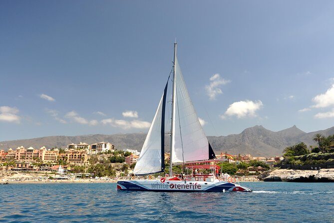 Whale watching and listening Eco-Catamaran Tour with Food Tasting - Key Points