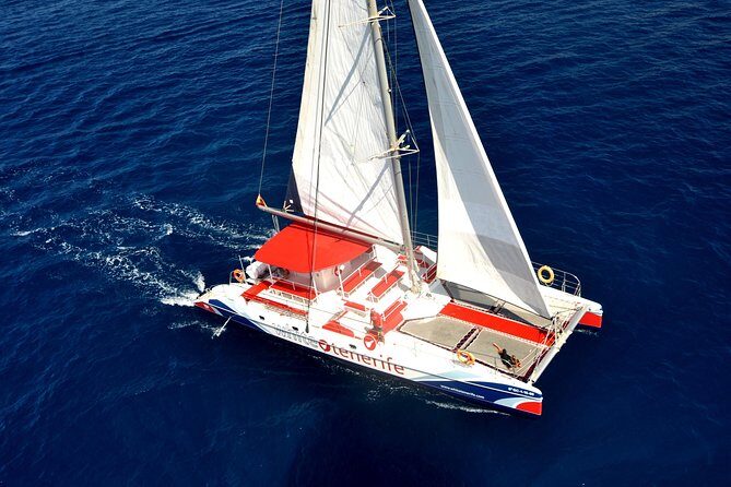 Whale watching and listening Eco-Catamaran Tour with Food Tasting - Pricing & Value