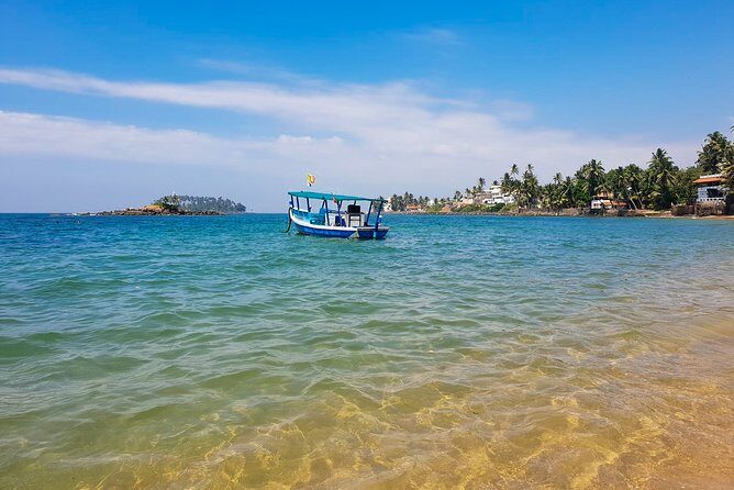 Whale Watching Boat Tour from Ahungalla - Who Will Love This Tour?