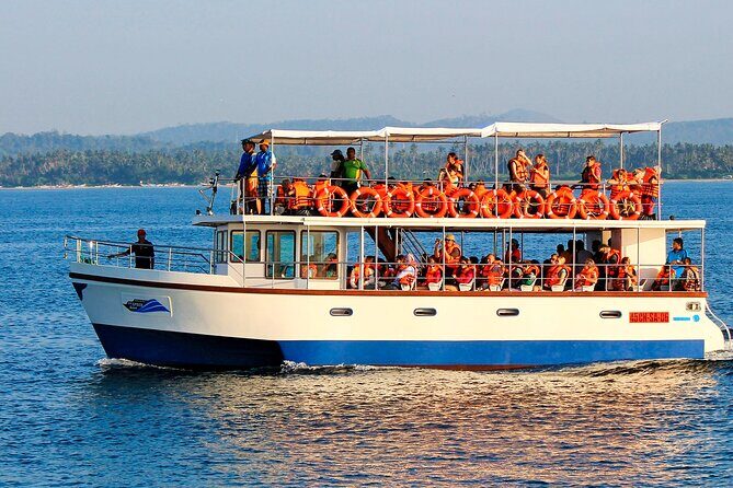 Whale Watching Boat Tour from Galle - What to Expect During the Day