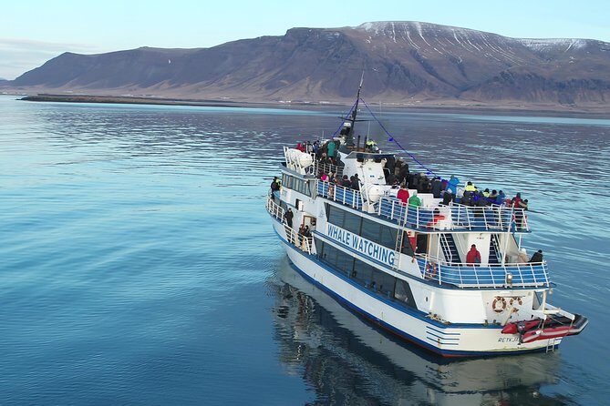 Whale-Watching Boat Tour with Expert Guide from Reykjavik - Analyzing the Value