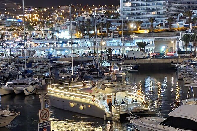 Whale Watching Catamaran Cruise with Transfer, Buffet by MC - The Sum Up