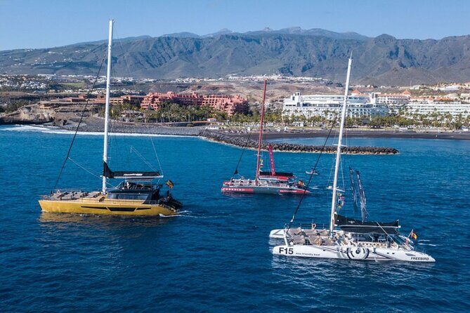 Whale Watching Catamaran in Costa Adeje (Including drinks & Sandwich) - The Sum Up