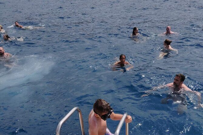 Whale Watching Catamaran in Costa Adeje (Including drinks & Sandwich) - FAQ