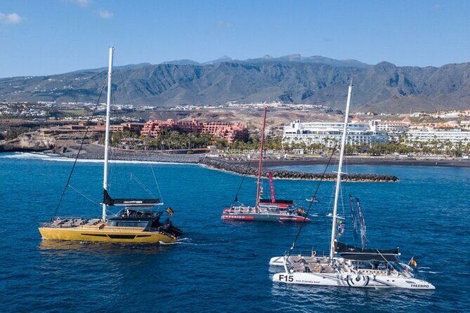 Whale Watching Catamaran to Los Gigantes & Masca (Including drinks & warm lunch) - The Sum Up