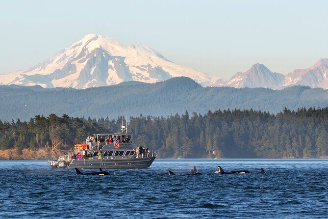 Whale Watching + Deception Pass Tour from Seattle - Stop 1: Deception Pass State Park