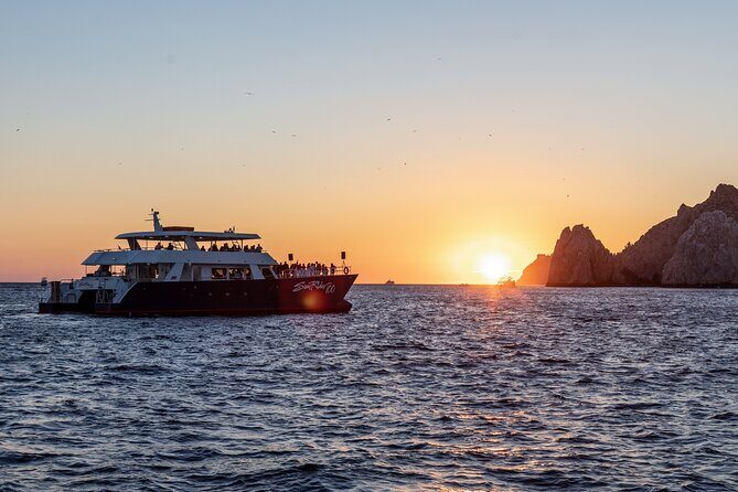 Whale Watching Dinner Cruise in Cabo San Lucas - Final Thoughts: Is This the Right Choice?