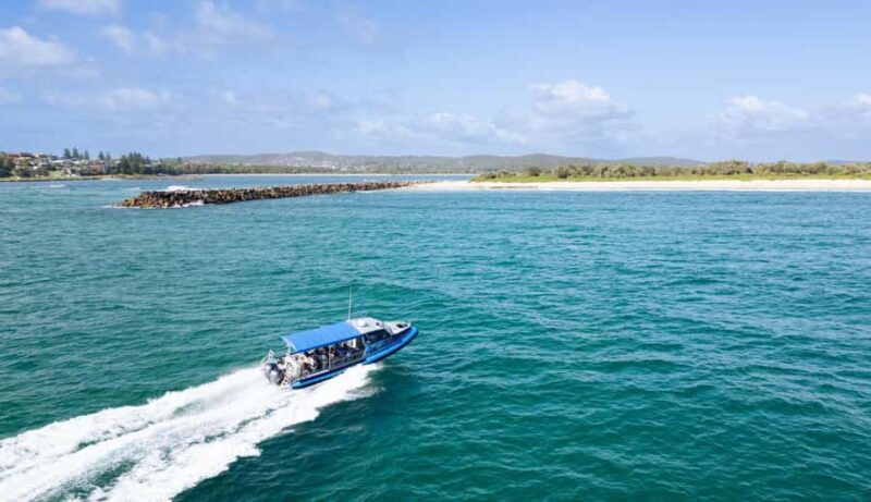 Whale Watching Discovery Tour from Lake Macquarie - Key Points