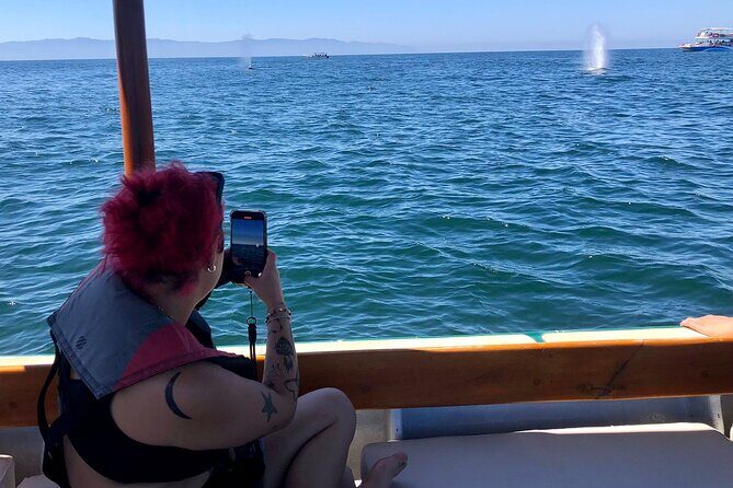 Whale Watching Experience  4 Hours in Puerto Vallarta - An In-Depth Look at the Puerto Vallarta Whale Watching Tour