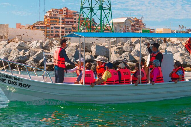 Whale Watching Experience in Cabo San Lucas 2 hours - Authenticity and Authentic Experiences