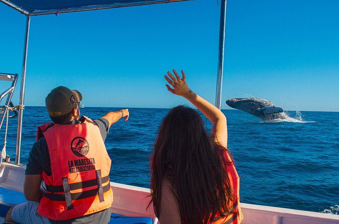 Whale Watching Experience in Cabo San Lucas 2 hours - Who Should Consider This Tour?