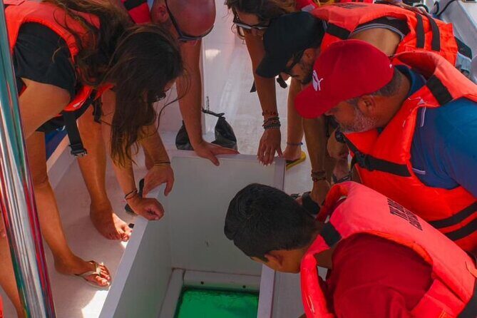 Whale Watching Experience in Cabo San Lucas 2 hours - FAQ