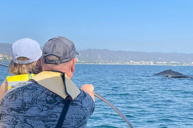 Whale Watching Experience in Puerto Vallarta - An In-Depth Look at the Whale Watching Tour in Puerto Vallarta
