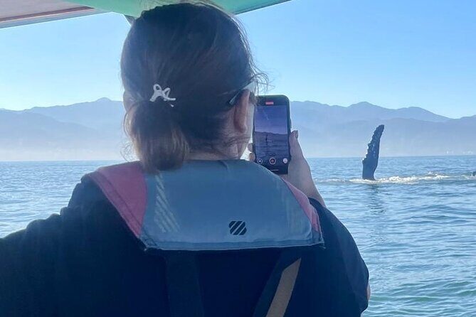 Whale Watching Experience in Puerto Vallarta - Additional Tips for Travelers