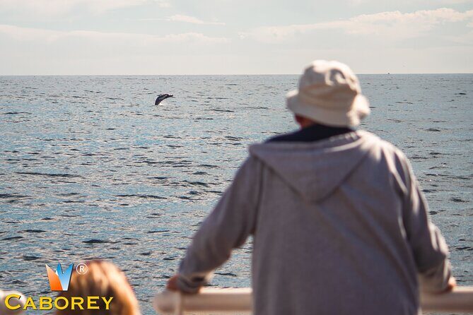 Whale Watching Experiencie with breakfast - Key Points