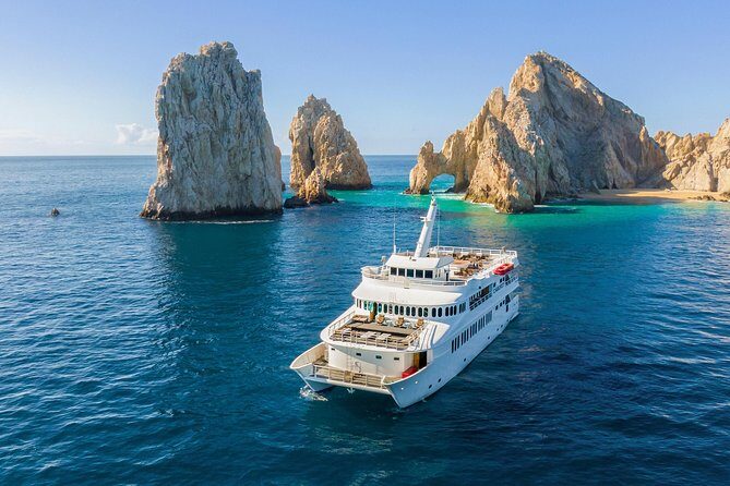 Whale Watching Experiencie with breakfast - Overview of the Whale Watching Experience