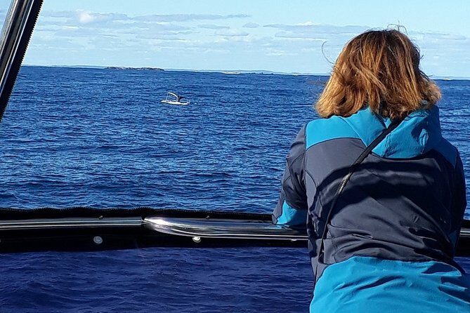 Whale Watching from Augusta in Western Australia - Final Thoughts: Is It Worth It?
