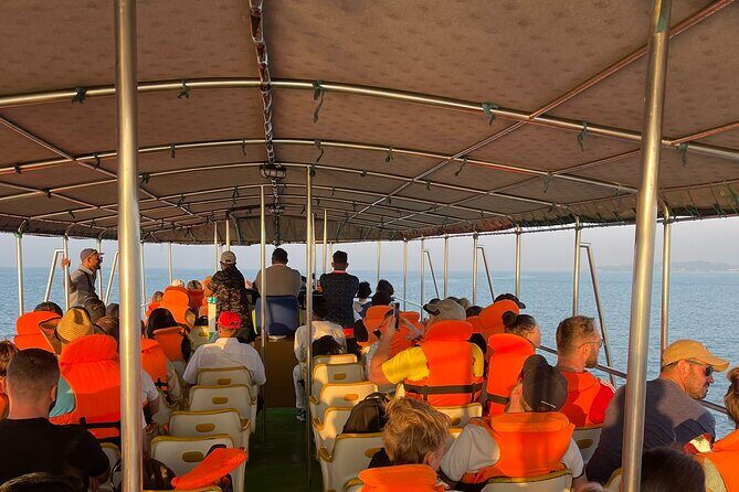 Whale Watching From Colombo - Who Should Consider This Tour?
