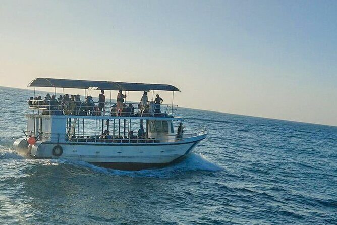 Whale Watching from Kalpitiya on Private Boat - An Authentic, Close-Up Marine Adventure