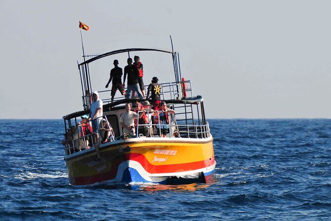 Whale Watching from Kalpitiya on Private Boat - Final Thoughts