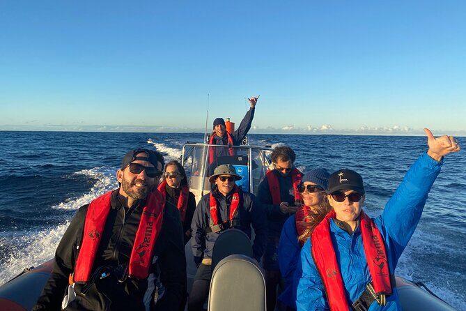 Whale Watching Gold Coast - Final Thoughts: Is It Worth It?