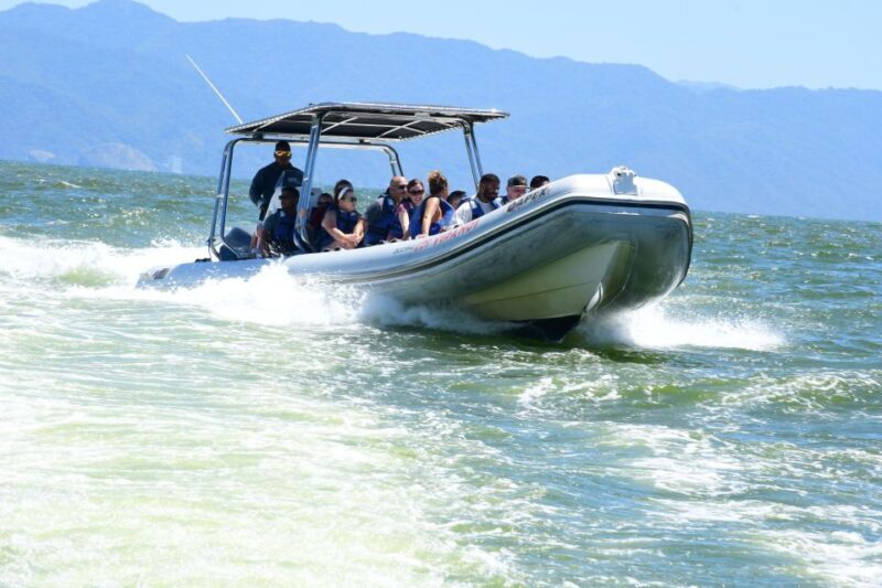 Whale Watching Guaranteed Experience in Puerto Vallarta - Key Points