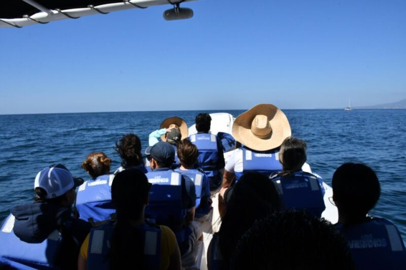 Whale Watching Guaranteed Experience in Puerto Vallarta - An In-Depth Look at the Whale Watching Tour