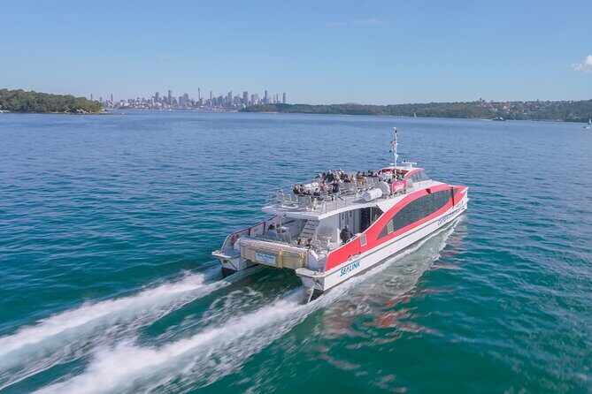 Whale Watching & Hop On Hop Off Sydney Harbour Explorer Cruise - An In-Depth Look at the Experience