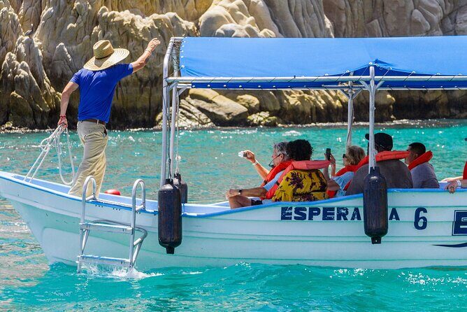 Whale Watching in Cabo San Lucas: Sightseeing Cruise and Shopping - What Travelers Are Saying