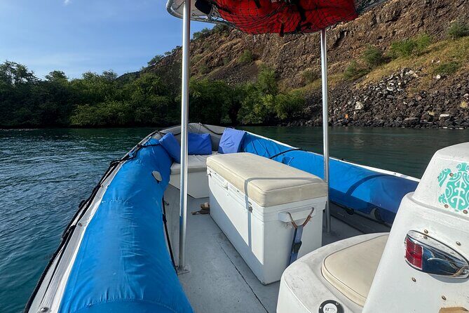 Whale Watching in Kona - A Deep Dive into the Kona Whale Watching Experience