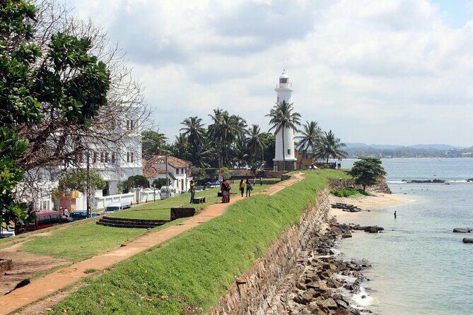 Whale watching in Mirissa from Colombo - The Sum Up