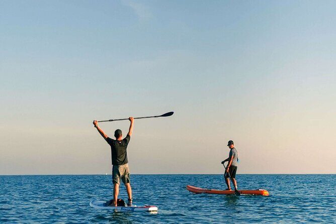 Whale Watching in Trincomalee by Catamaran cruise - FAQ