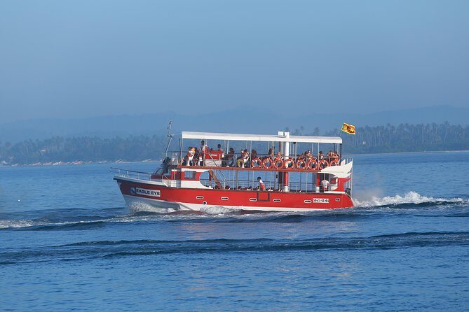 Whale Watching Mirissa with Eagle Eye - FAQ