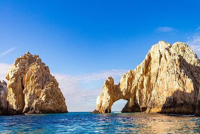 Whale Watching on a Glass Bottom Boat - FAQ