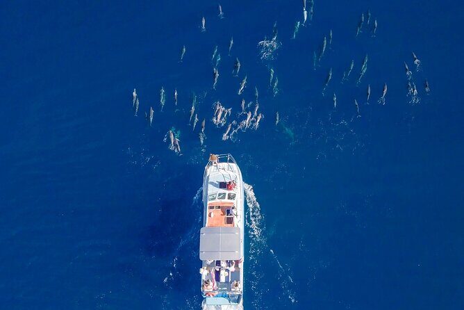 Whale Watching on "The World Famous North Shore of Oahu", Hawaii - Who Will Love This Experience?