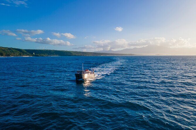 Whale Watching on "The World Famous North Shore of Oahu", Hawaii - FAQ