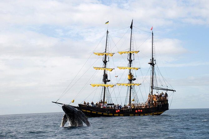 Whale-Watching Pirate Ship Cruise in Los Cabos - What You’ll Experience Aboard