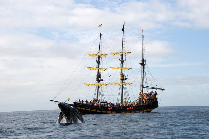 Whale-Watching Pirate Ship Cruise in Los Cabos - Who Should Consider This Tour?