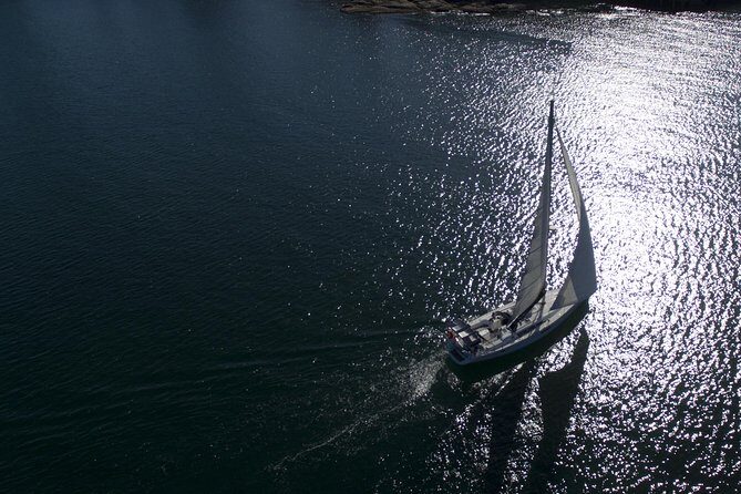 Whale Watching Sailing Experience in Sydney - Who Is This Tour Best For?