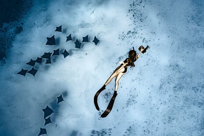 Whale Watching Shared Half Day - Introduction: What You Can Expect from This Tour