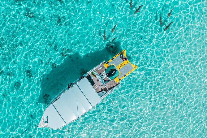 Whale Watching Shared Half Day - Who Will Enjoy This Tour?