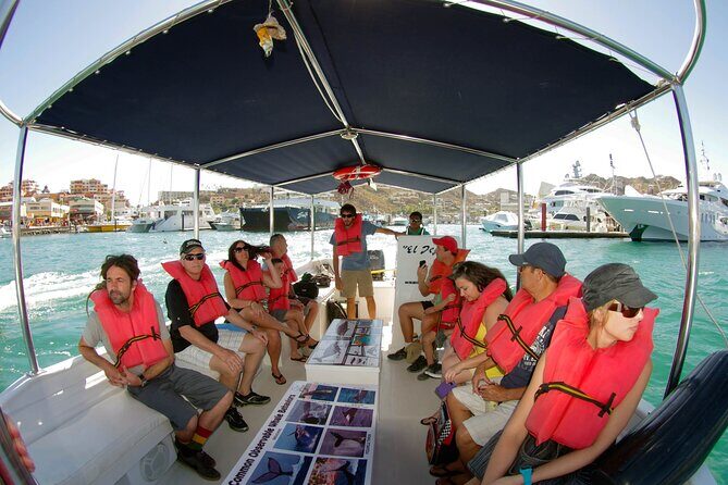 Whale Watching Snorkel Combo - Who Should Book This Tour?