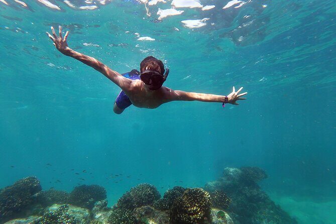 Whale Watching & Snorkeling Combo in Los Cabos with Photos Included - A Closer Look at the Whale Watching & Snorkeling Combo in Los Cabos